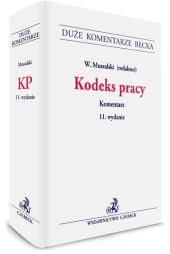 Kodeks pracy. Komentarz Kodeks pracy. Komentarz