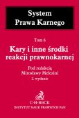 Kary i inne środki reakcji prawnokarnej System Prawa Karnego Tom 6 Kary i inne środki reakcji prawnokarnej System Prawa Karnego Tom 6