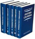 Anatomia czlowieka tom 1-5 Anatomia czlowieka tom 1-5