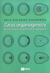 Zarys organogenezy Zarys organogenezy