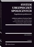 System ubezpieczeń społecznych. Zagadnienia podstawowe