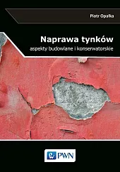 Naprawa tynków Naprawa tynków