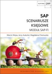 SAP Scenariusze księgowe SAP Scenariusze księgowe