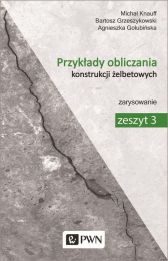 Przykłady obliczania konstrukcji żelbetowych Zeszyt 3 Przykłady obliczania konstrukcji żelbetowych Zeszyt 3
