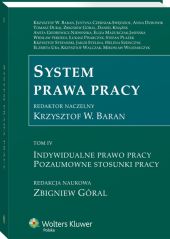 System prawa pracy. TOM IV. Indywidualne prawo pracy. Pozaumowne stosunki pracy System prawa pracy. TOM IV. Indywidualne prawo pracy. Pozaumowne stosunki pracy