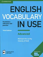 English Vocabulary in Use AdvancedMichael McCarthy