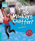 Why Do Monkeys Chatter? 5 Factbook Why Do Monkeys Chatter? 5 Factbook