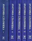 Anatomia człowieka 1-5