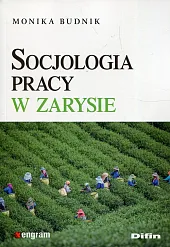 Socjologia pracy w zarysieMonika Budnik
