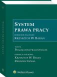 System prawa pracy. TOM XI. Pragmatyki pracownicze