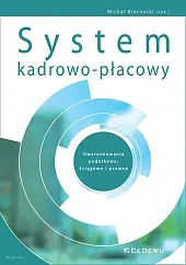 System kadrowo-płacowy Uwarunkowania podatkowe księgowe i,Michał Biernacki