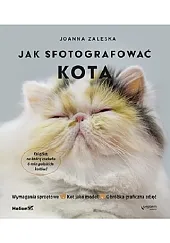 Jak fotografować kota