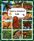 Świat w obrazkach Las