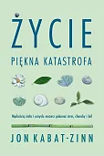 Życie piękna katastrofa Życie piękna katastrofa