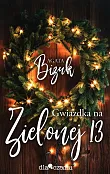 Gwiazdka na Zielonej 13