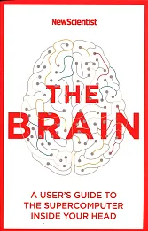 The Brain The Brain