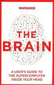 The Brain The Brain