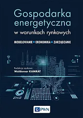 Gospodarka energetyczna w warunkach rynkowychWaldemar Kamrat