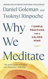 Why We MeditateDaniel Goleman