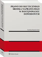Prawo do skutecznego środka naprawczego w postępowaniu dowodowym