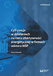 Cyfryzacja w działaniach na rzecz efektywności,Anna Pamuła