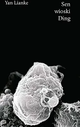 Sen wioski DingYan Lianke