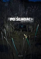 Po śladachAgnieszka Wolny-Hamkało