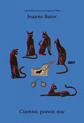Ciemno, prawie nocJoanna Bator