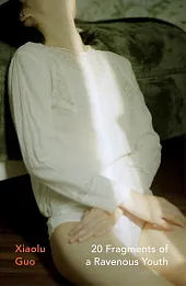 20 Fragments of a Ravenous Youth 20 Fragments of a Ravenous Youth