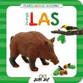 Plastelinkowa akademia Co kryje las?Magdalena Młodnicka