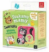 Mały miś to lubi! Szukamy mamy,Agnieszka Bator