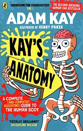 Kay’s Anatomy