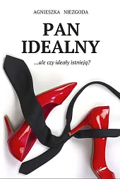 Pan IdealnyAgnieszka Niezgoda