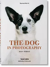The Dog in PhotographyRaymond Merritt The Dog in PhotographyRaymond Merritt