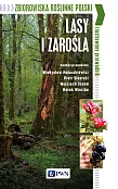 Zbiorowiska roślinne Polski Lasy i zarośla