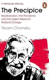 The PrecipiceNoam Chomsky