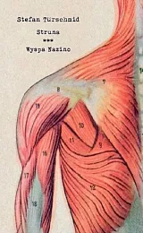 Struna Wyspa NazinoStefan Turschmid