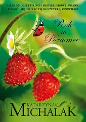 Rok w poziomceKatarzyna Michalak