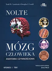 Mózg człowieka. Anatomia czynnościowa mózgowia Tom,Todd W. Vanderah Mózg człowieka. Anatomia czynnościowa mózgowia Tom,Todd W. Vanderah