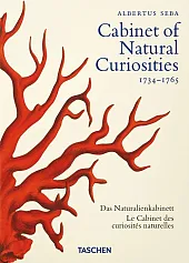 Seba. Cabinet of Natural Curiosities. 40th,Irmgard Müsch Seba. Cabinet of Natural Curiosities. 40th,Irmgard Müsch