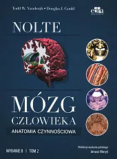 Mózg człowieka Anatomia czynnościowa mózgowia Tom,Todd W. Vanderah