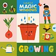 Magic Windows: Growing