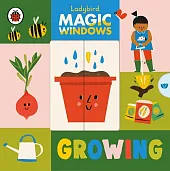 Magic Windows: Growing