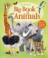 Big Book of Animals Big Book of Animals