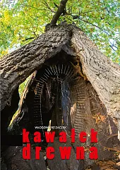 Kawałek drewnaWłodzimierz Zaczek