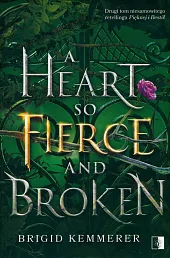 A Heart So Fierce and BrokenBrigid Kemmerer