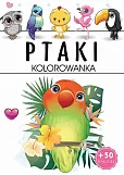 Ptaki Kolorowanka