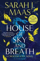House of Sky and BreathJ.Sarah Maas