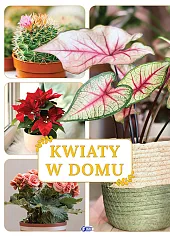 Kwiaty w domu Kwiaty w domu