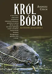 Król bóbr